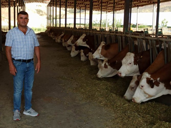 Alaşehir’de Sütmatikten Süt Dönemi Başladı