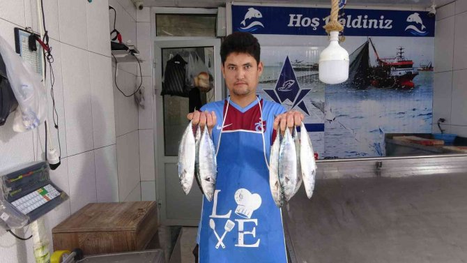 Sezonun İlk Palamutları 30 Liradan Tezgâhlarda