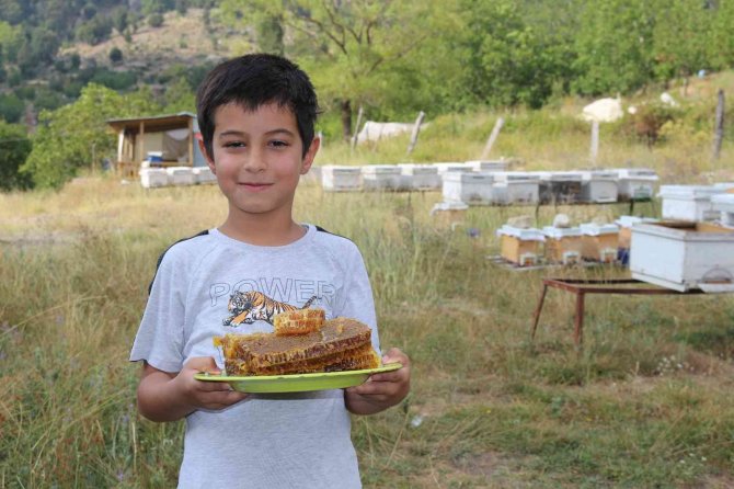 Büyükşehir Serikli Arıcıların Yüzünü Güldürdü