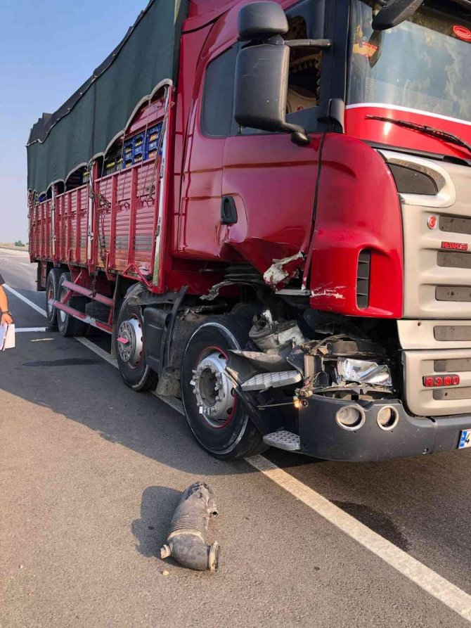 Robs Demiri Traktör Sürücüsünün Hayatını Kurtardı