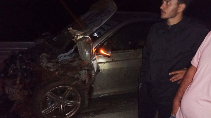 Otomobil Sürüye Çarptı: 26 Hayvan Telef Oldu
