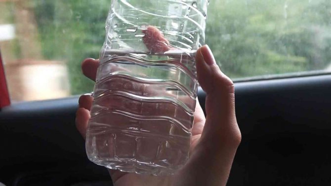 Prof. Dr. Arıca Uyardı: “Araç İçinde Sıcakta 2,3 Saatten Fazla Bulunmuş Sıvıyı Tüketmemeliyiz”