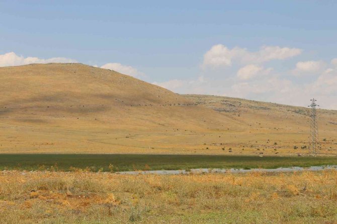 20 Farklı Göçmen Kuş Türüne Ev Sahipliği Yapan Nenehatun Gölü Kurudu