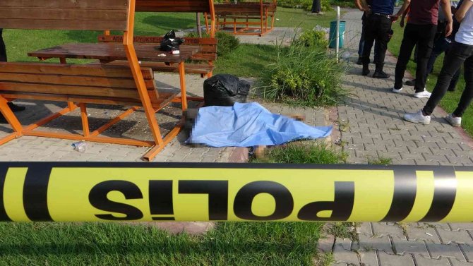 Kağıtçı Parkta Ölü Bulundu