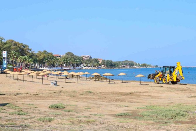 Yalova Belediyesinden Sahillerde Yosun Temizliği