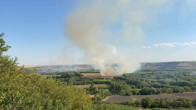 Diyarbakır’da Hububat Hasadı Bitti: İ̇l Tarım Ve Orman Müdüründen ‘Anız Yangını’ Uyarısı