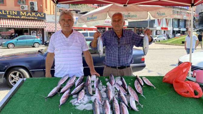 Oltacılar Palamutla Buluştu, Yüzler Güldü