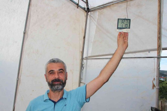 Bu Meyveyi Yetişmek İçin Serasına Kamera Sistemi Ve Soba Kurdu