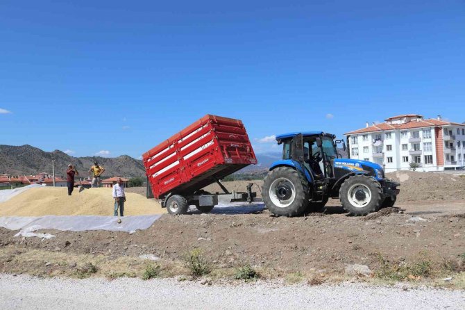 Osmancık Tmo Hububat Alımında Rekor Kırıyor