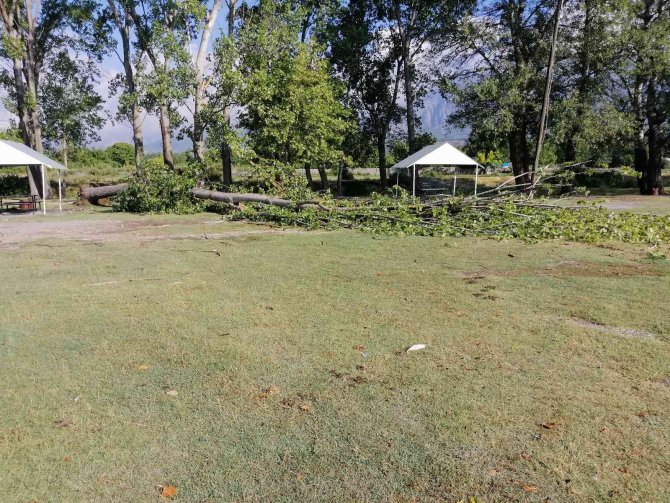 Çorum’da Fırtına Ağaçları Kökünden Söktü