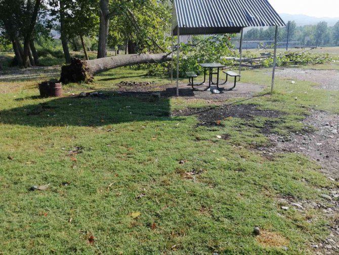 Çorum’da Fırtına Ağaçları Kökünden Söktü