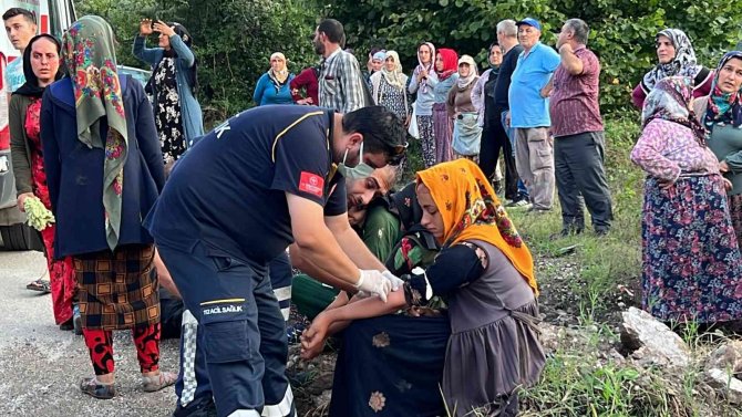 Fındık İşçilerini Taşıyan Traktör Devrildi, İşçileri Yola Saçıldı