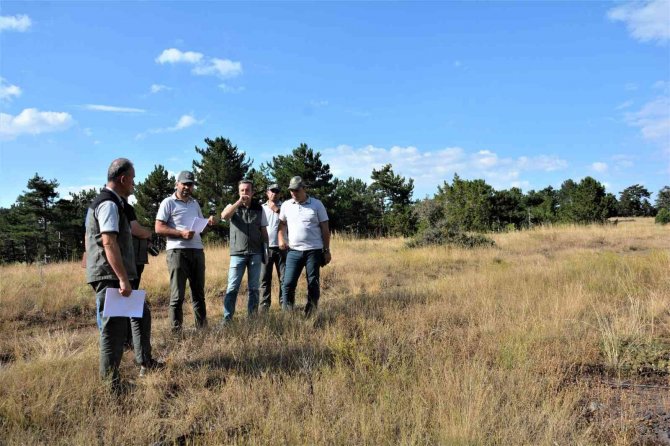 Gediz Muratdağı’na Bal Ormanı