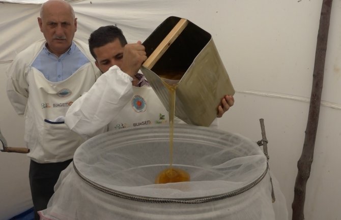 ’Altın Balda’ Hasat Dönemi Başladı: Hedef 2 Bin Ton Bal Elde Etmek