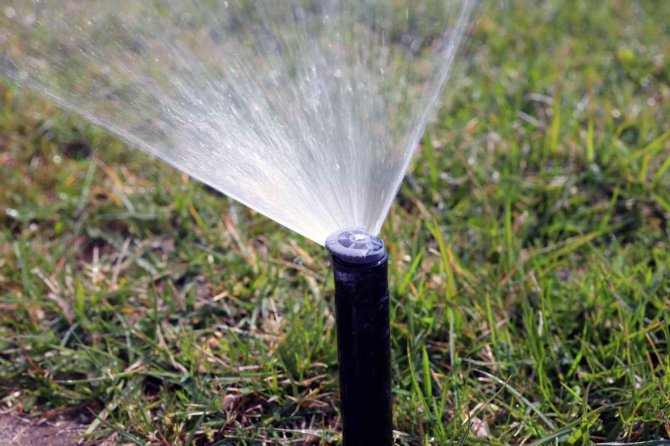 Günde 10 Bin Ton Su Tasarrufu