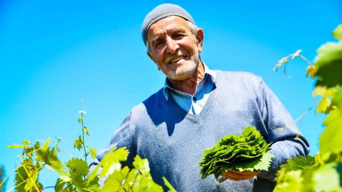 Coğrafi İşaretli Lezzet 400 Milyon Liralık Girdi Sağlayacak