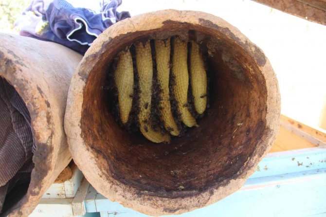 Toprak Kovanda Üretilen Bal Büyük İlgi Görüyor