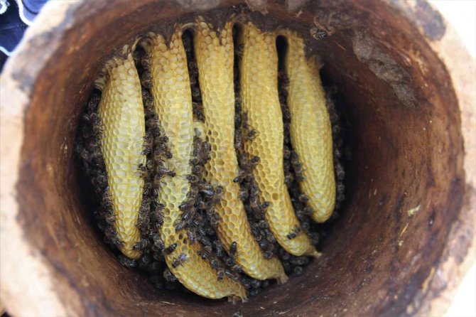 Toprak Kovanda Üretilen Bal Büyük İlgi Görüyor