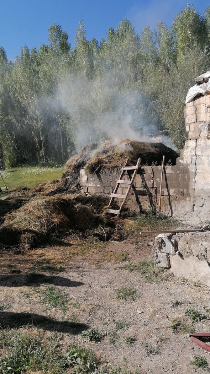 Van’da Bin Bağ Ot Yandı