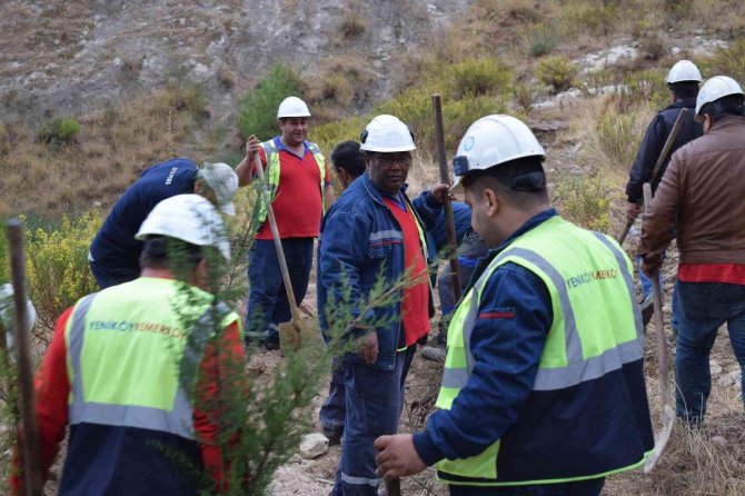 Yk Enerji Son 3 Yılda 1 Milyonu Aşkın Fidanı Toprakla Buluşturdu