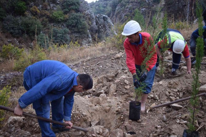 Yk Enerji Son 3 Yılda 1 Milyonu Aşkın Fidanı Toprakla Buluşturdu