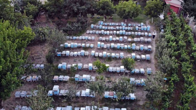 Yozgat’ta Yağışlar Bal Üreticisinin Yüzünü Güldürdü