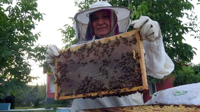 Yozgat’ta Yağışlar Bal Üreticisinin Yüzünü Güldürdü