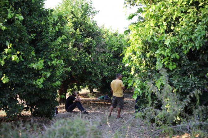 Ailesine "Ölüme Gidiyorum" Dedi, Üniversite Bahçesinde Cansız Bedeni Bulundu