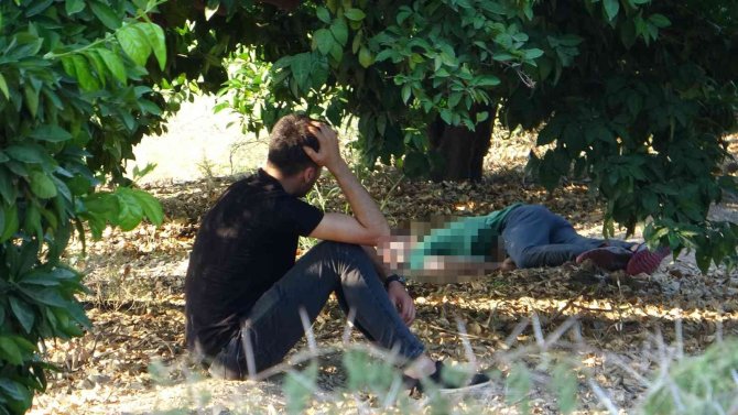 Ailesine "Ölüme Gidiyorum" Dedi, Üniversite Bahçesinde Cansız Bedeni Bulundu