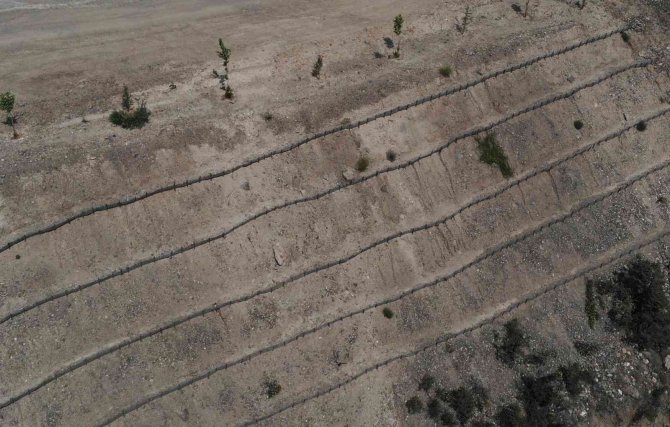 Yusufeli Yeni Yerleşim Yerinde 8 Hektarlık Alanda Erozyon Çalışması Tamamlandı