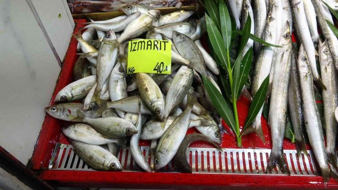 Çanakkale’de Sezonun İlk Palamutları Tezgaha Çıktı