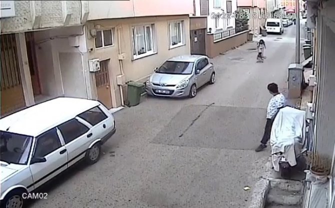 Bursa’da Başıboş Sokak Köpeği Kursa Giden Kız Çocuğunu Böyle Isırdı