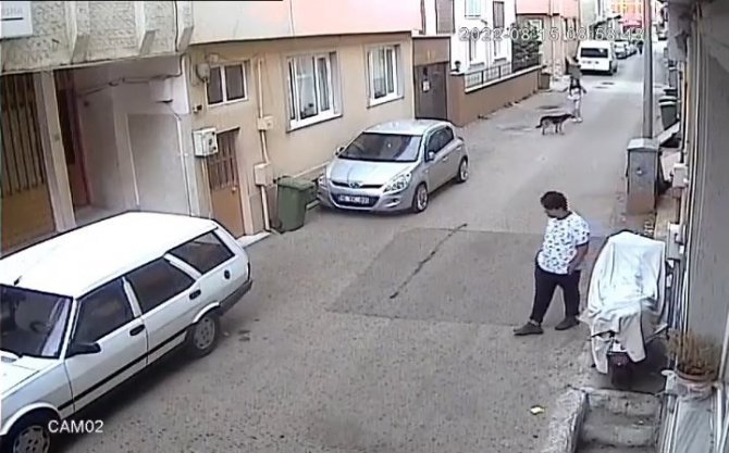 Bursa’da Başıboş Sokak Köpeği Kursa Giden Kız Çocuğunu Böyle Isırdı