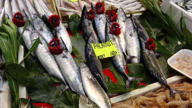 Çanakkale’de Sezonun İlk Palamutları Tezgaha Çıktı