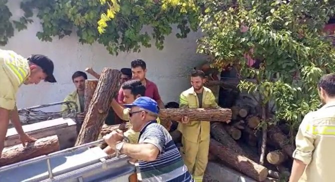 Jandarmanın Dikkati Ormandan Kaçak Kesilen 3 Ton Tomruğu Ortaya Çıkardı
