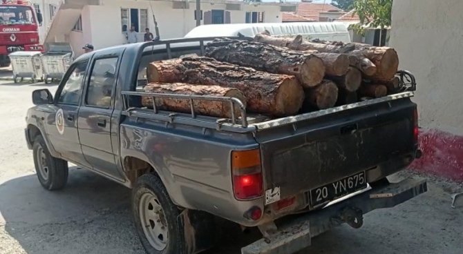 Jandarmanın Dikkati Ormandan Kaçak Kesilen 3 Ton Tomruğu Ortaya Çıkardı