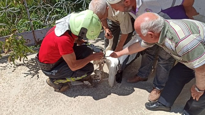 Caminin Kubbesinden Uçamayan Leyleği İtfaiye Kurtardı