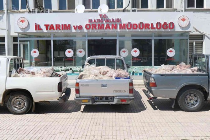 Kötü Kokudan Rahatsız Olan Vatandaşlar İhbar Etti, Depodan Çürümüş Et Çıktı