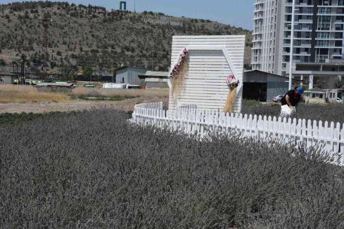 Keçiören’deki Çekim Platosu Tüm Vatandaşlara Ücretsiz