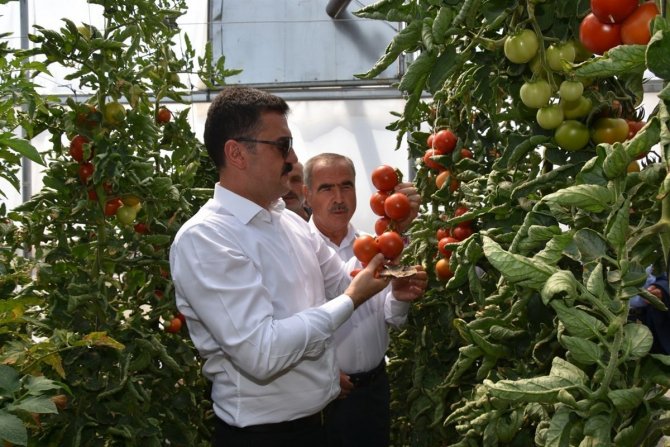 Kırıkkale’de Beton Yol Çalışmaları Sürüyor