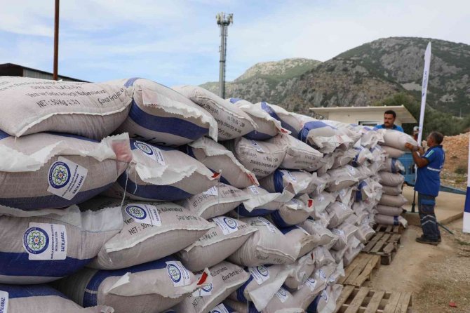 Büyükşehirden Fidan Ve Tohum Desteği