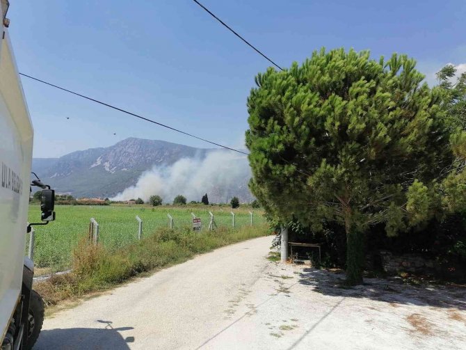Muğla’da Tarım Arazinde Yangın Çıktı