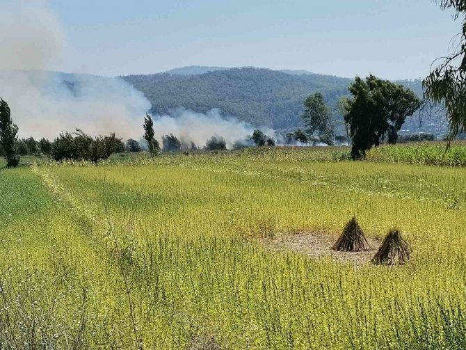 Muğla’da Tarım Arazinde Yangın Çıktı