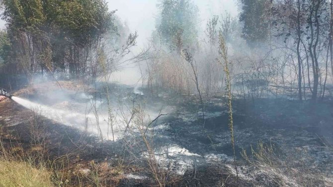 Tarım Arazinde Çıkan Yangın Kontrol Altına Alındı
