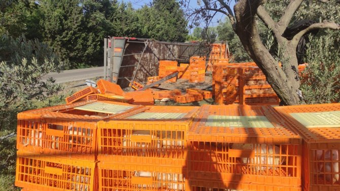 Bursa’da Canlı Tavuk Yüklü Tır Devrildi