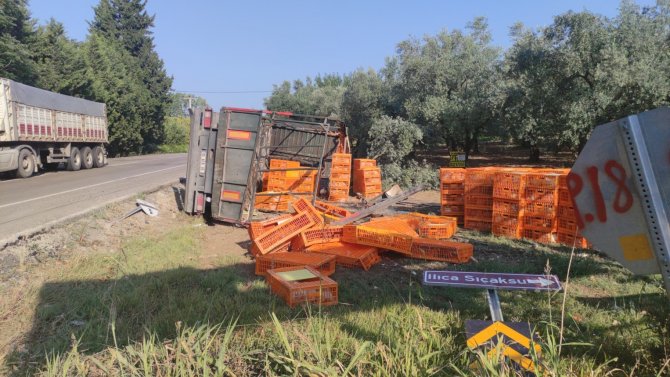 Bursa’da Canlı Tavuk Yüklü Tır Devrildi