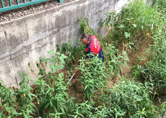 Su Kanalına Düşen Yavru Köpeği İtfaiye Kurtardı