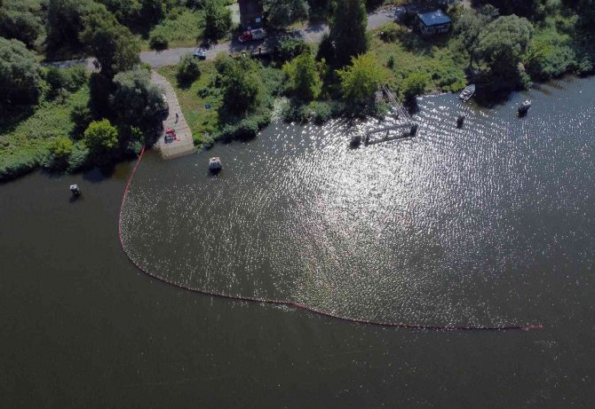 Polonya’nın Oder Nehri’nden 100 Ton Ölü Balık Çıkarıldı