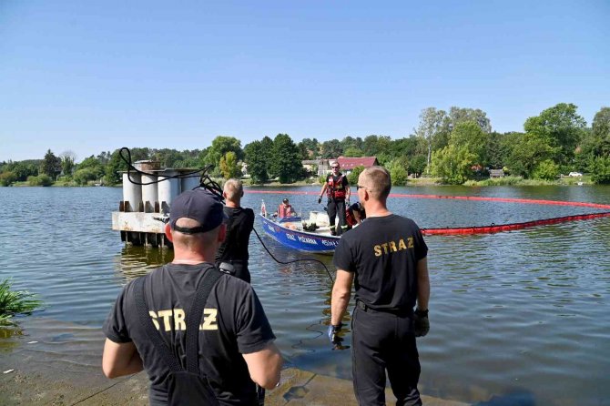 Polonya’nın Oder Nehri’nden 100 Ton Ölü Balık Çıkarıldı