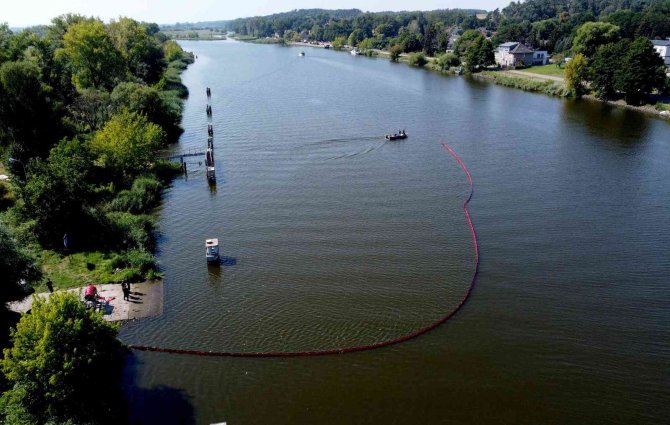 Polonya’nın Oder Nehri’nden 100 Ton Ölü Balık Çıkarıldı